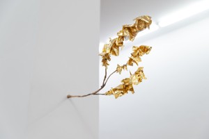 Daniele Coppola: 
