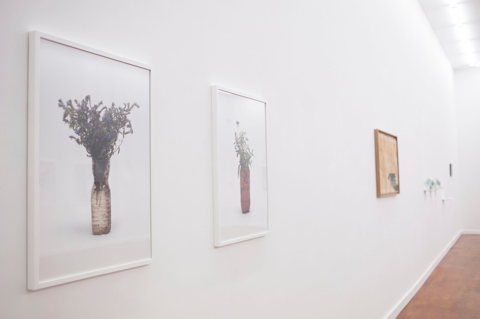 Exhibition View