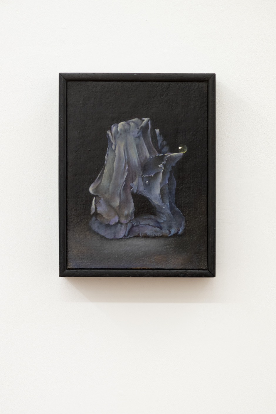 Quinten Ingelaere
