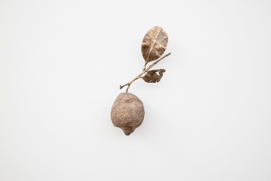 Vanitas , citron coupé, 2020