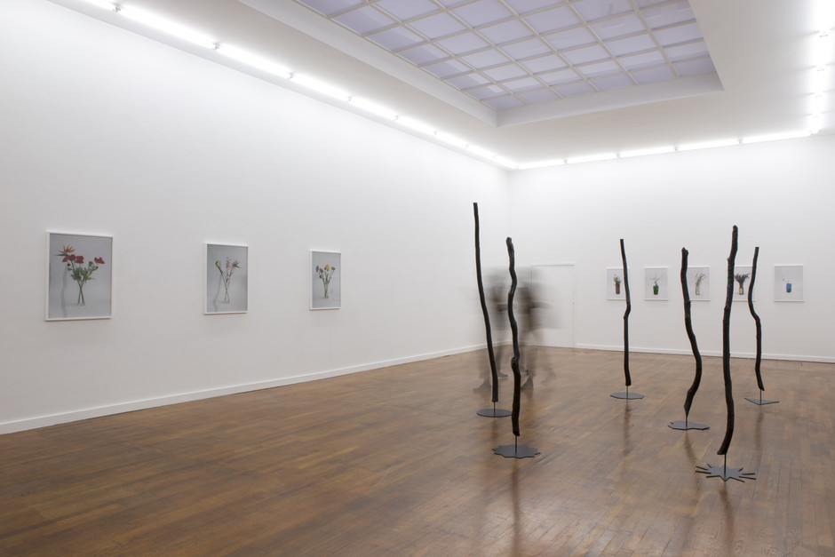 Exhibition view 