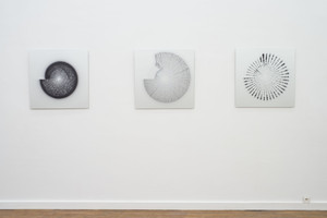 Loïc Van Zeebroek: 