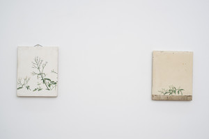 Loïc Van Zeebroek: 