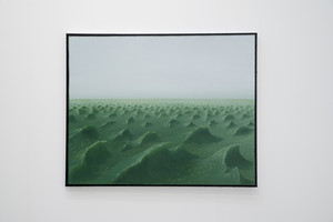 Loïc Van Zeebroek: 
