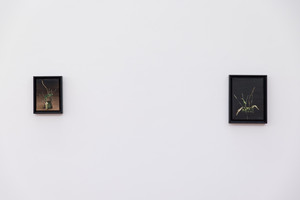 Stanislas Lahaut: 