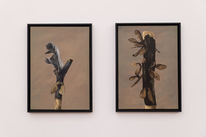 Stanislas Lahaut: 