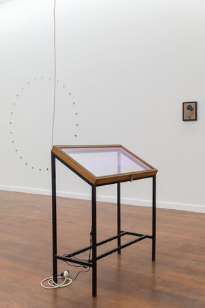 Stanislas Lahaut: 