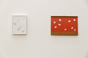 Charlotte Vandenbroucke: 