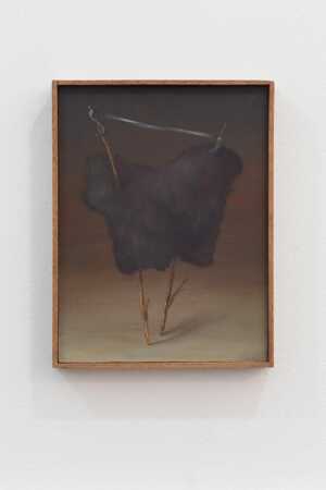 Charlotte Vandenbroucke: 