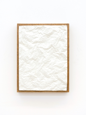 Charlotte Vandenbroucke: 