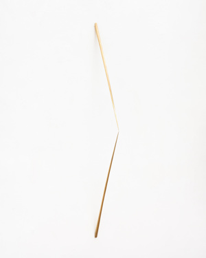 Daniele Coppola: 