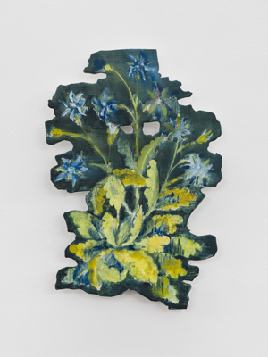 Peter De Meyer: 