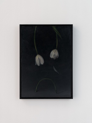 Christian Dortemont: 