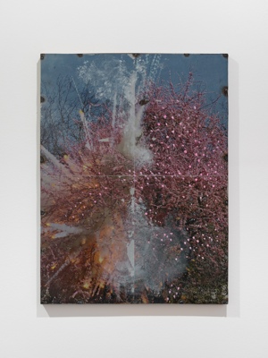 Christian Dortemont: 
