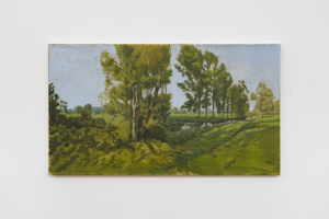 Loïc Van Zeebroek: 
