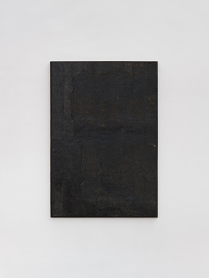 Charlotte Vandenbroucke: 