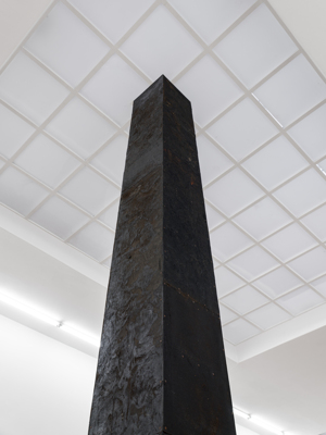 Charlotte Vandenbroucke: 
